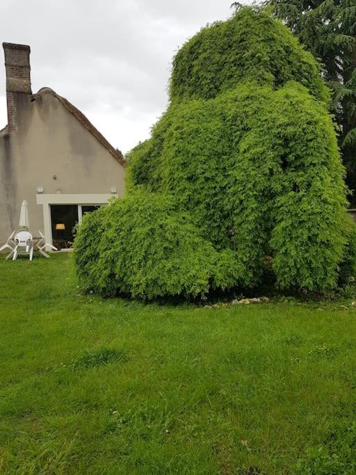 Chaumiere Avec Sa Toiture Recouverte De Chaume !!! Donnemain-Saint-Mames Bagian luar foto